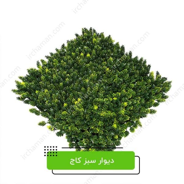 دیوار سبز کاج