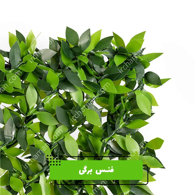 فنس برگی