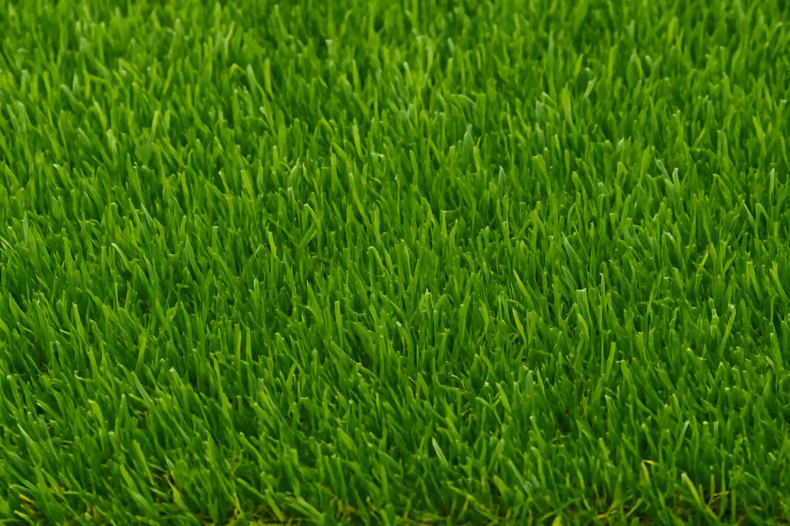 عکس چمن مصنوعی تزیینی